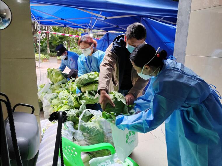 巴渝民宿集團所屬渝地物業公司七季城項目工作人員聯系蔬菜供應商為業主提供2噸白菜，做好生活物資保障。渝地物業供圖