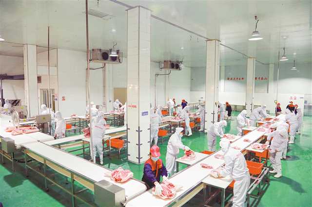 重慶琪金集團定點屠宰廠，工作人員正在對豬肉進行分裝打包。（受訪者供圖）