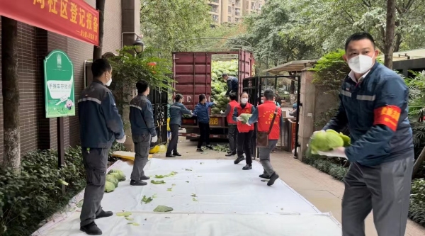 志愿者們有序將愛心蔬菜分揀、打包。南岸區委宣傳部供圖