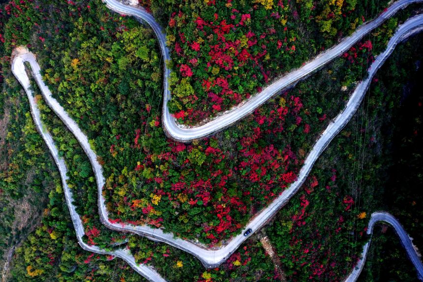 重慶市巫山縣竹賢鄉下莊村初冬景色。王忠虎攝