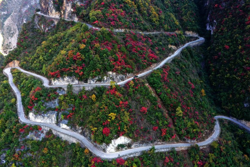 絕壁“天路”兩旁層林盡染，風景如畫。王忠虎攝