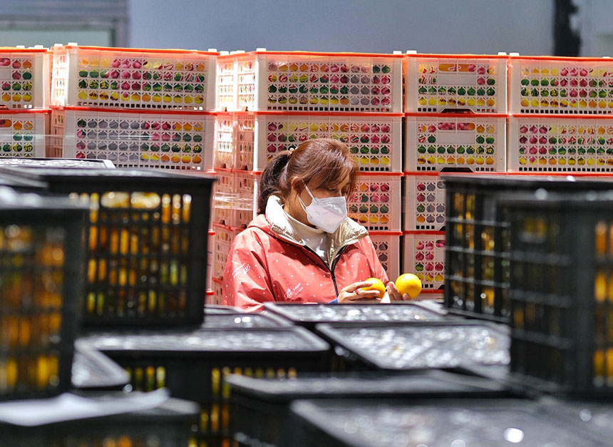 深夜，一生鮮超市內，工作人員正在抓緊清點剛到的蔬菜水果。郭旭攝