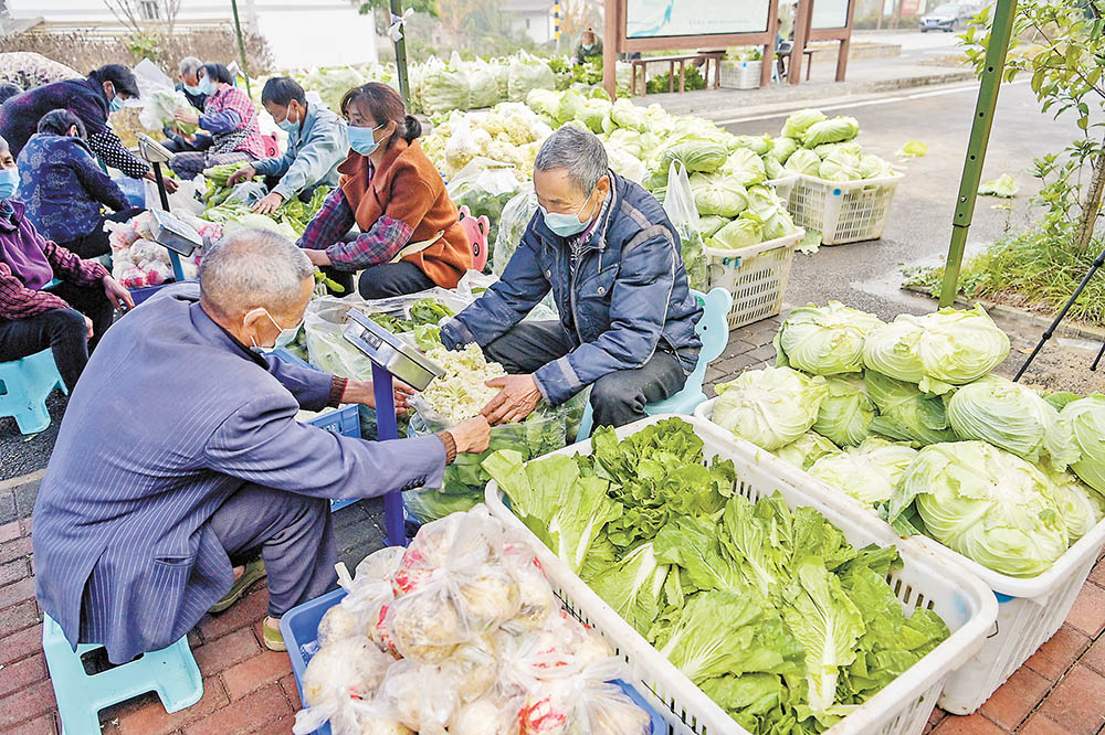 分揀 11月23日，天險洞村蔬菜包臨時分揀點，村民在分揀蔬菜。