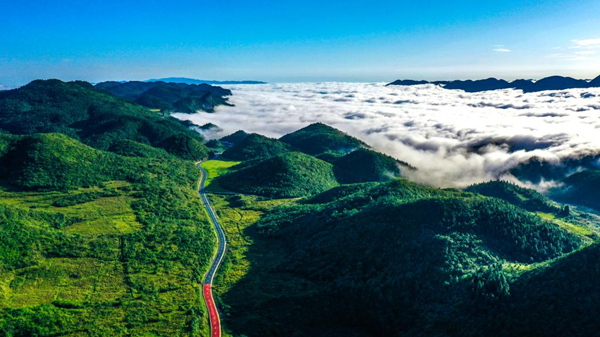 菖蒲-花田景區。酉陽旅投供圖