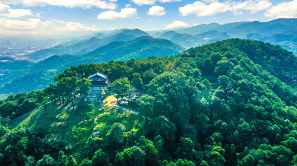 城市“肺葉”中梁山。九龍坡區委宣傳部供圖