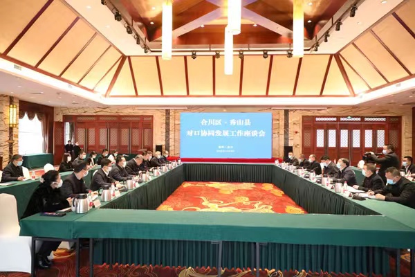 座談會現場。合川區委宣傳部供圖