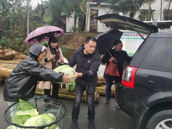 餐飲企業上門收購蔬菜。譚鳳攝