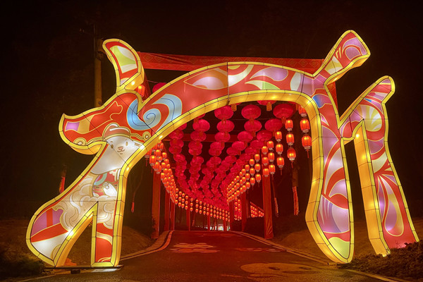 去梁平品民俗賞花燈。梁平區委宣傳部供圖