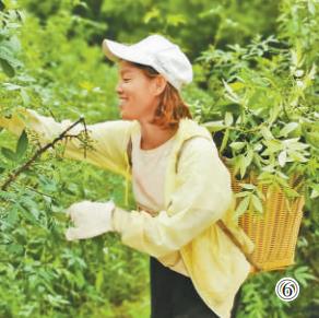 戴巧紅。喻啟耀攝