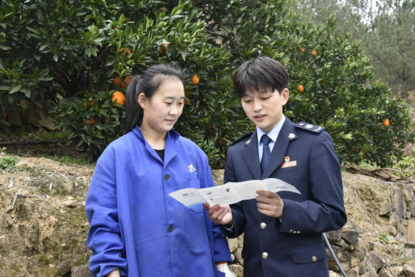 重慶奉節縣稅務局工作人員走進重慶火紅農業科技有限公司的臍橙種植基地，為企業人員宣傳輔導稅收優惠政策。王曉婧攝