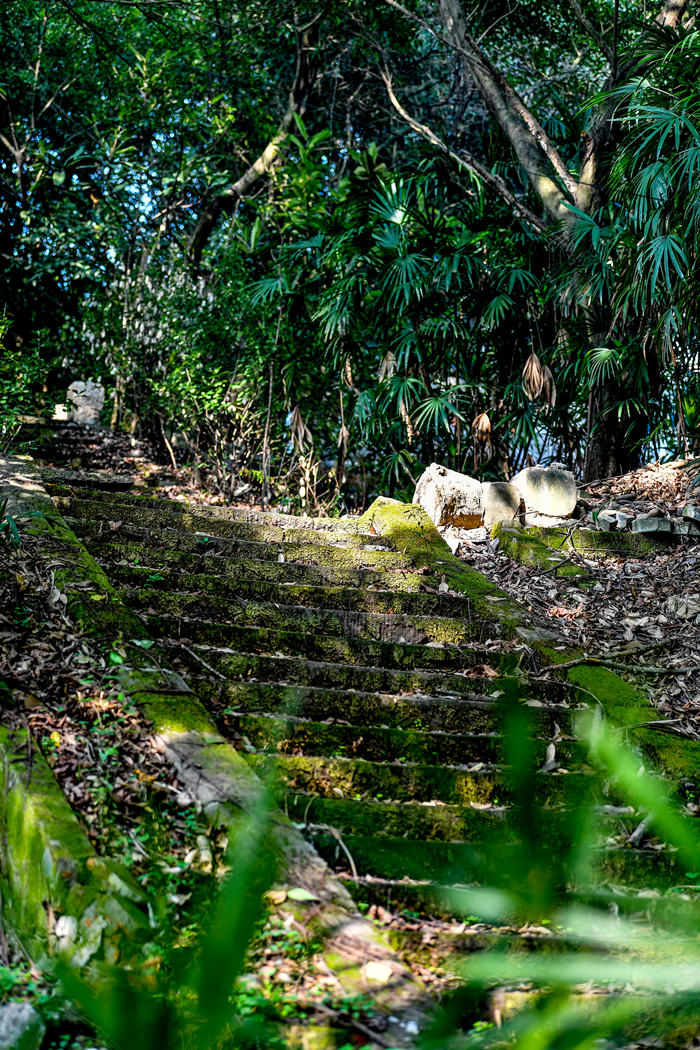 礦山公園內曲徑通幽。曹鳴鷗攝