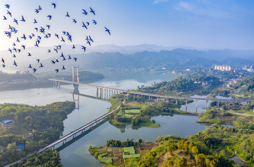 重慶合川三江國家濕地公園。