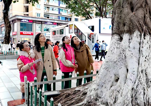 小朋友和家長一起尋找古樹。共青團重慶市委供圖