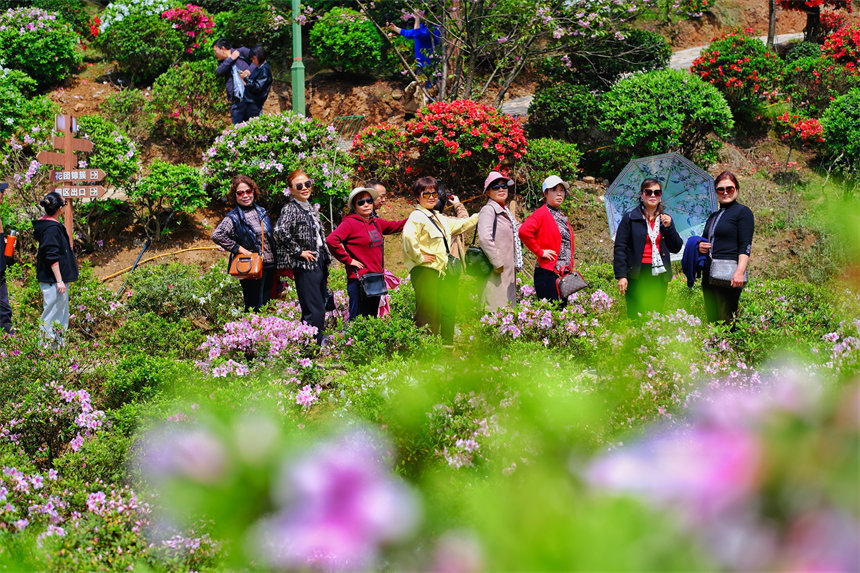 市民賞花踏春。郭旭攝