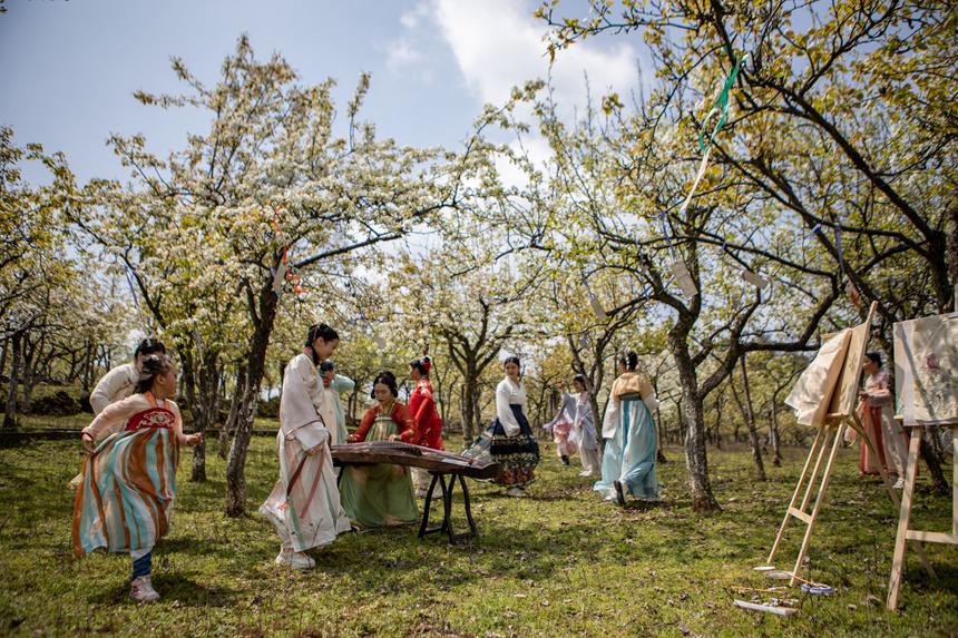 游客們身著古裝暢游梨園。胡程攝