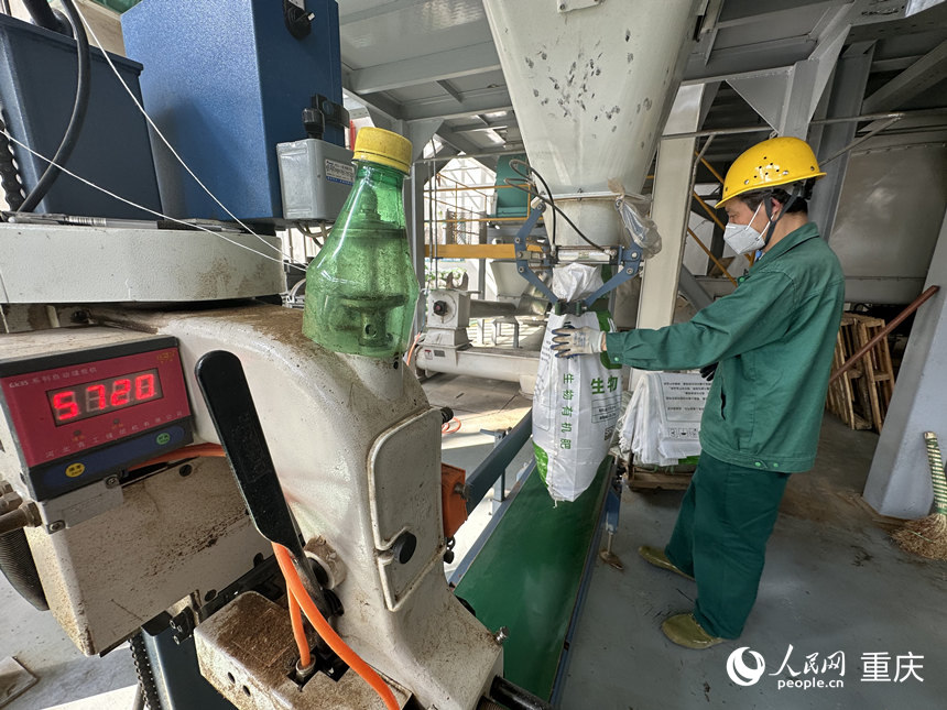 餐廚垃圾加工成肥料正在裝袋。人民網 劉政寧攝