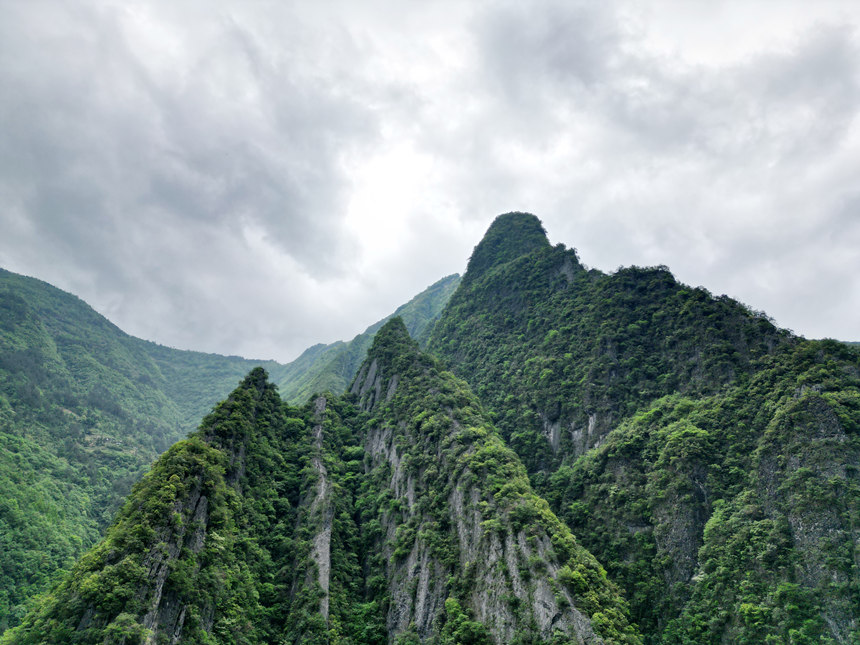 重慶五里坡國家級自然保護區。魯作炳攝