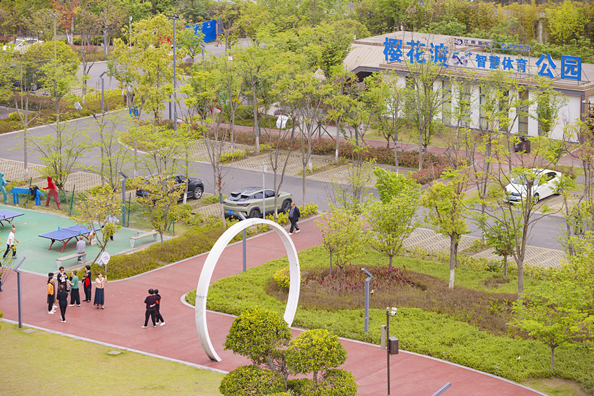 櫻花渡公園遍布綠意，成為濱江休閑打卡地。曾英豪攝