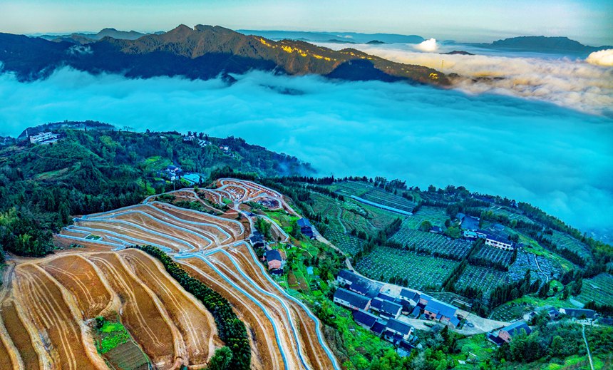 新修復墾的梯田與青山綠野相映成趣。曹永龍攝