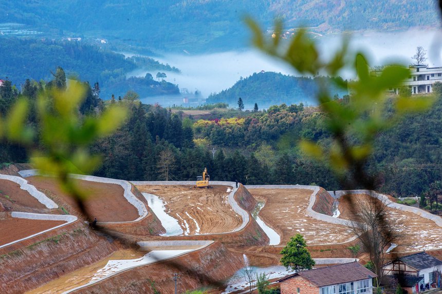 新修復墾的梯田與青山綠野相映成趣。曹永龍攝