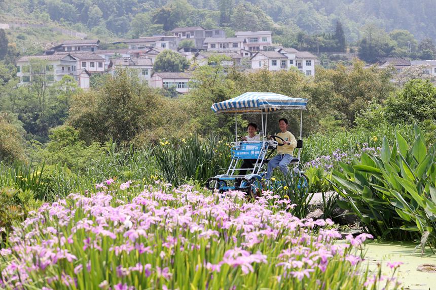 游客在馮家街道寨子社區游玩。楊敏攝