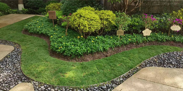 “綠茵行動”中草坪煥新。重慶萬科物業供圖