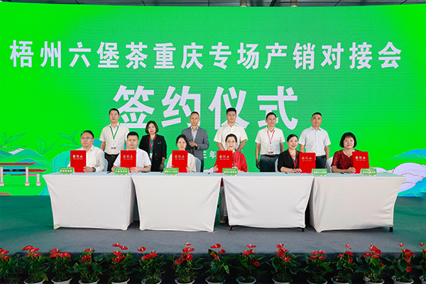 簽約現場。向詩佳攝