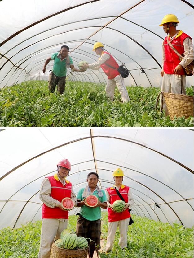 開展用電檢查，助力瓜農增收。國網重慶永川供電公司供圖