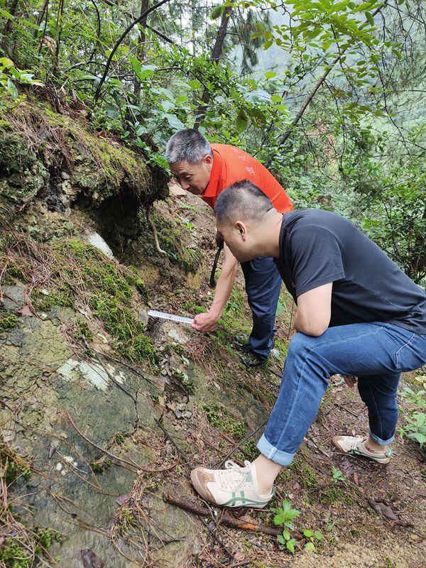 《查看滑坡后緣變化》。7月8日，黔江區啟動防汛II級應急響應,黔江區金溪規劃和自然資源所會同重慶107地質隊駐守地質工程師在水田鄉水田社區8組呼眼埡查看滑坡體后緣變化情況。李偉攝