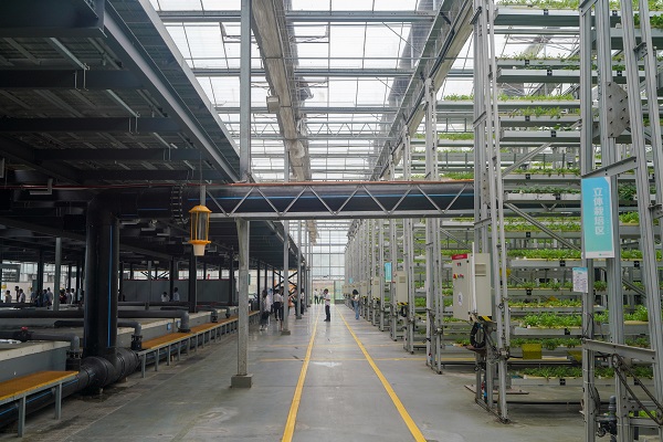 魚菜共生AI工廠。趙國淦攝