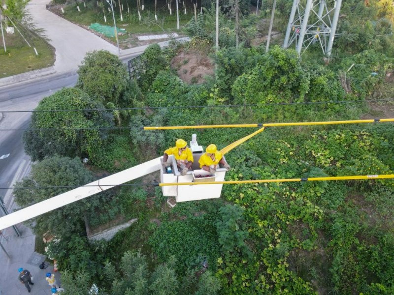 8月14日，在南岸區茶園梨花大道，國網重慶市南供電公司工作人員披上絕緣服，戴上三層手套，登上絕緣斗臂車，正進行帶電立桿作業，他們在高溫下用堅守和汗水守護全市“清涼度夏”。龔超攝