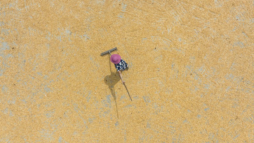 村民正在忙著曬秋。胡程攝