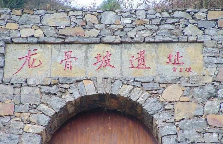 龍骨坡遺址（資料圖）。巫山縣委宣傳部供圖