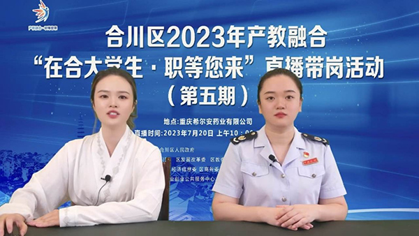 合川區稅務人員通過直播講解高校畢業生創業就業相關稅費優惠政策。胡蝶兒攝