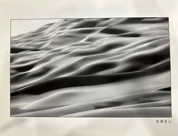 部分作品預覽。重慶聯合麗格整形美容醫院供圖