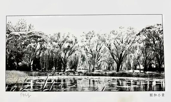 部分作品預覽。重慶聯合麗格整形美容醫院供圖