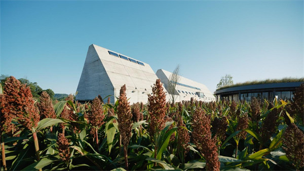 大地藝術館。主辦方供圖