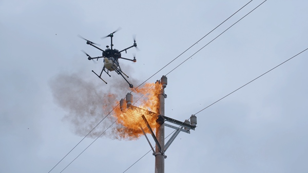 清理馬蜂窩。國網重慶永川供電公司供圖