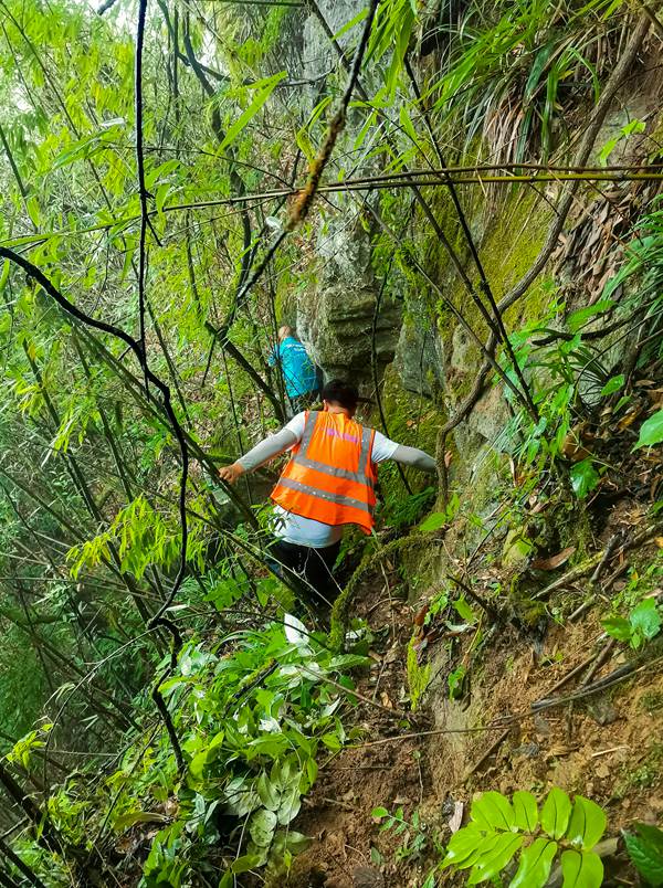 《巖壁間爬出“道路”》。9月2日，重慶107市政公司駐守工程師張偉會同群測群防員，及時對持續發出告警信息的南川區德隆鎮仙米坪危巖地災點設備開展現場核實。徐云華攝