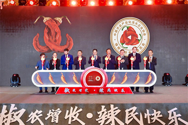 活動現場。主辦方供圖