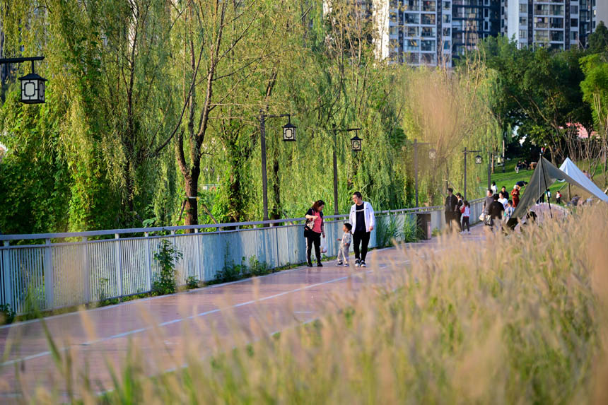 南岸區大魚海棠公園，市民樂享周末好時光。郭旭攝