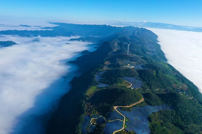 重慶市黔江區麒麟蓋光伏發電站群貌。楊敏攝