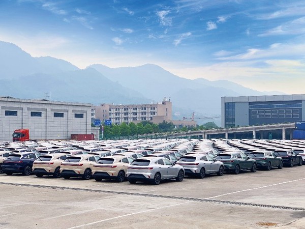 待運輸出口的新能源汽車。重慶物流集團供圖