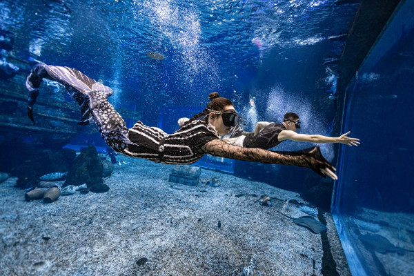 中國美人魚大賽無錫站比賽現場圖。主辦方供圖