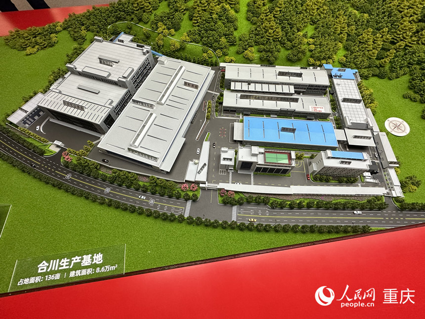 梅香園合川生產基地沙盤。人民網記者 劉政寧攝