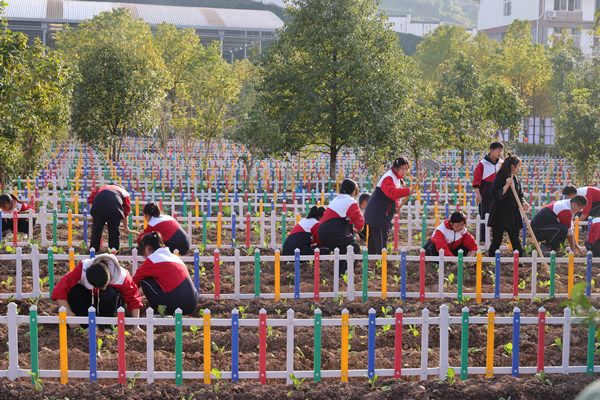 石柱縣回龍中學校勞作實踐基地。曾英豪攝