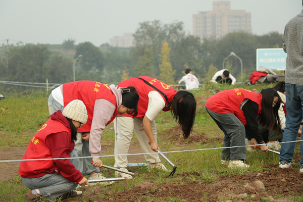 開墾現場。重慶理工大學供圖