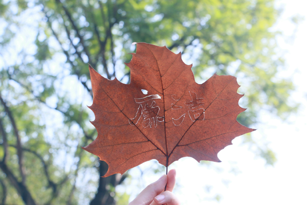 作品展示。重慶理工大學供圖
