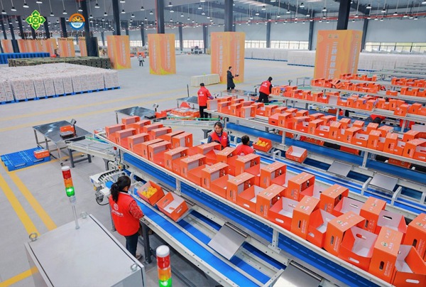 集散處理中心。三峽柑橘集團供圖