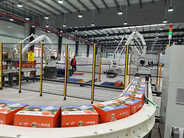 集散處理中心自動化處理線。孫啟凡攝